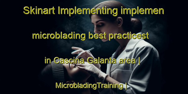 Skinart Implementing implemen microblading best practicest in Cascina Galanta area | MicrobladingTraining | MicrobladingClasses | SkinartTraining-Italy